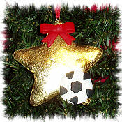 Soccer Resin Star Ornament