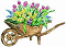 Spring Flowers
